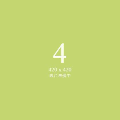 陳昭維 總經理